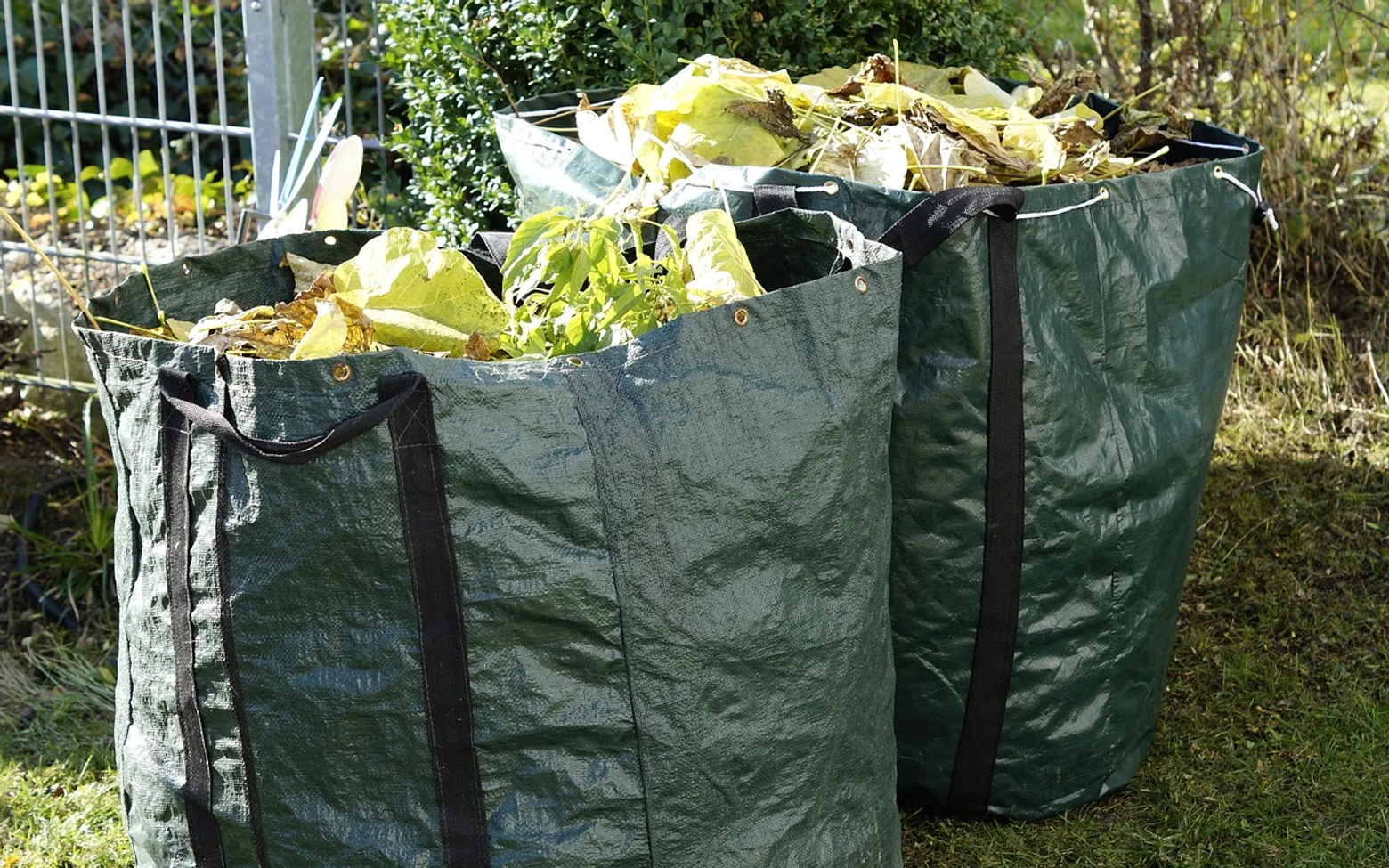 Garden waste, fall and garden garbage