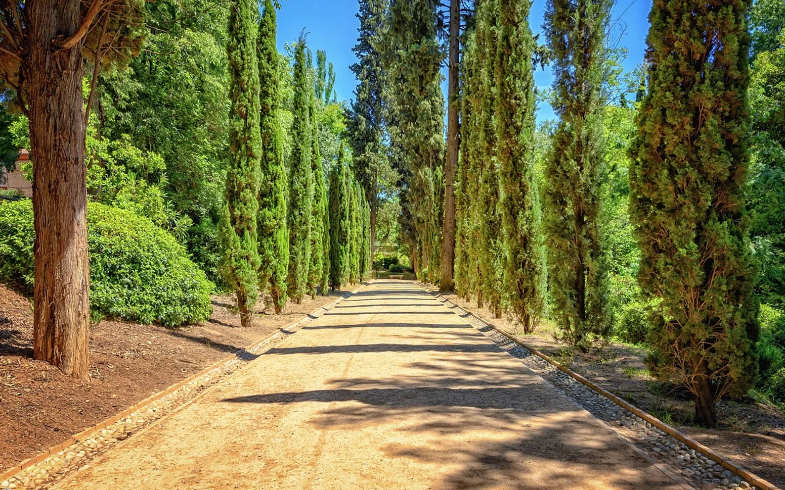 Park, avenue and path