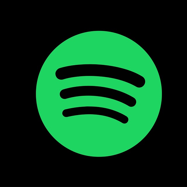 The only thing you need to do to succeed on Spotify