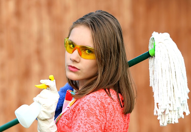Spotless Spaces, Happier Faces: Exploring the Spectrum of Cleaning Services in the EU